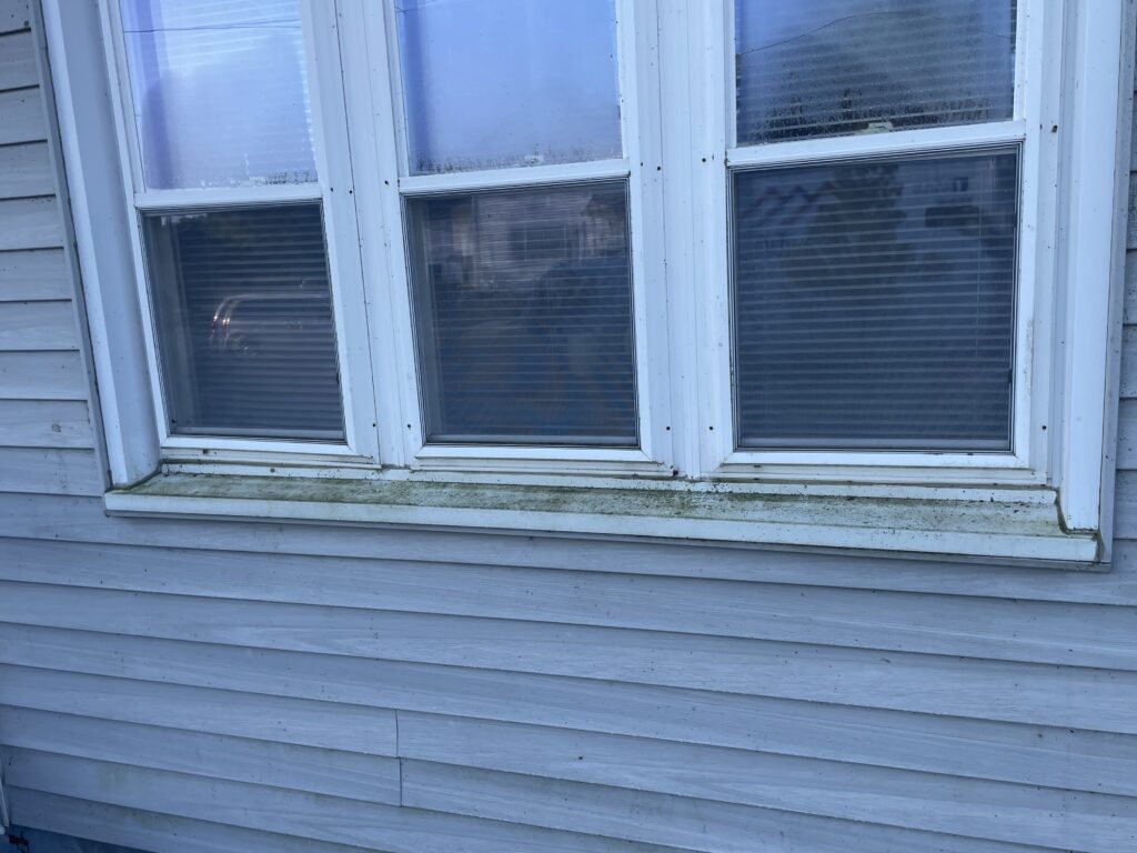 img 7810