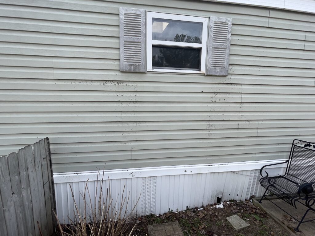 img 9274(1)
