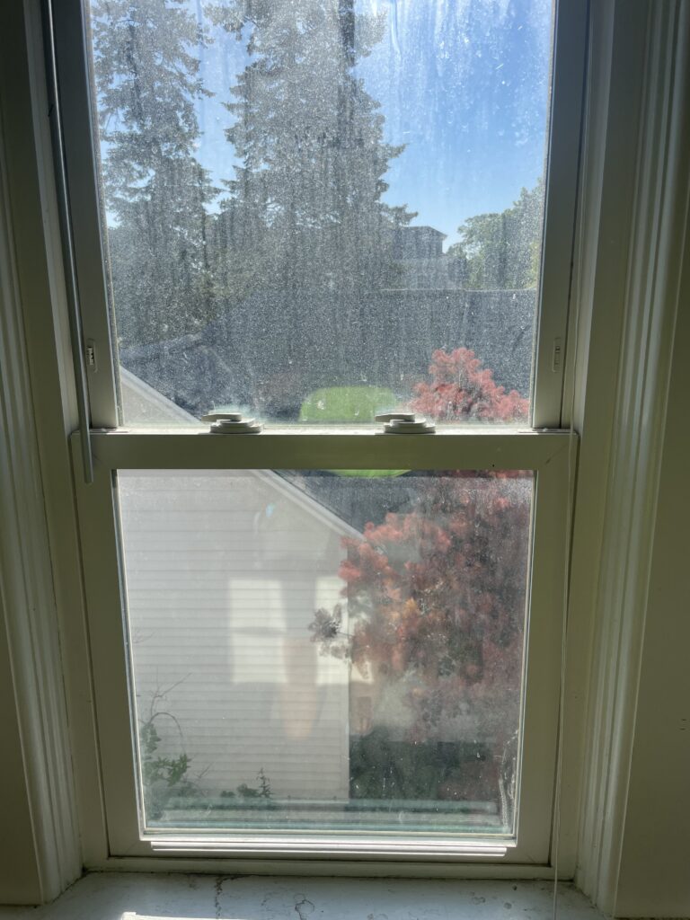 img 0714