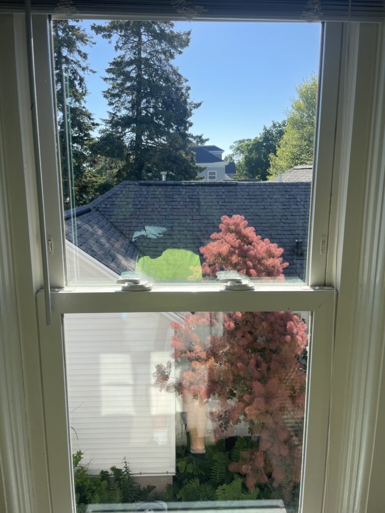 img 0715